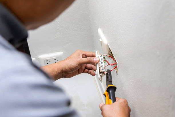 Best Electric Panel Repair  in Lavallette, NJ
